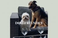 Dog-friendly