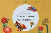 РЫБКА КОИ НА ТЕРРАСЕ